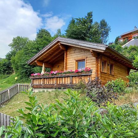 Das Paradieschen Edlitz - Stilvolles Blockhaus Mit Kamin 外观 照片