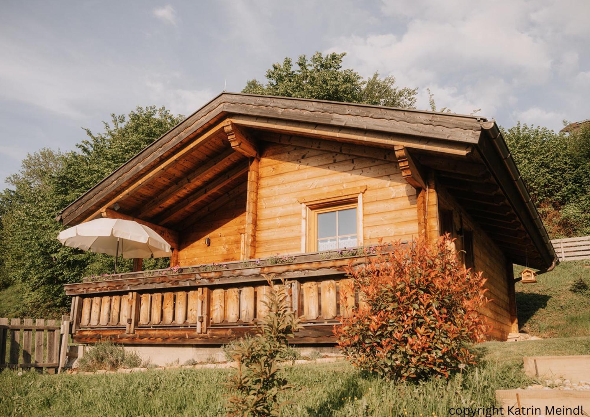Das Paradieschen Edlitz - Stilvolles Blockhaus Mit Kamin 外观 照片